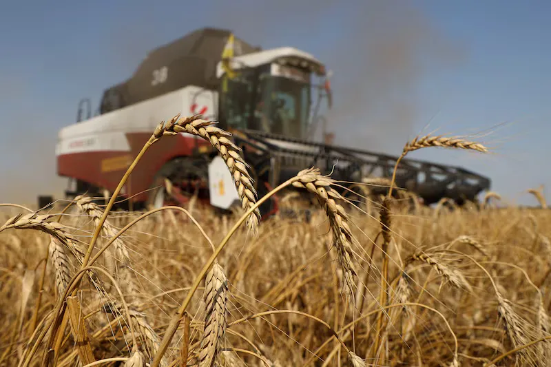 Agro y agronegocios